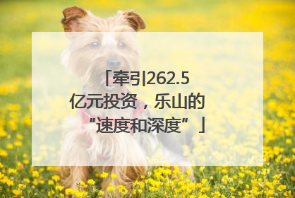 牵引262.5亿元投资，乐山的“速度和深度”