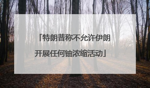 特朗普称不允许伊朗开展任何铀浓缩活动