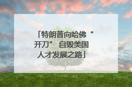 特朗普向哈佛“开刀” 自毁美国人才发展之路