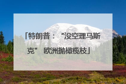 特朗普：“没空理马斯克” 欧洲抛橄榄枝