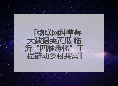 物联网种草莓 大数据卖黄瓜 临沂“四雁孵化”工程链动乡村共富
