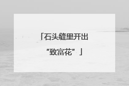 石头缝里开出“致富花”