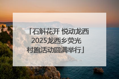 石斛花开 悦动龙西 2025龙西乡荧光村跑活动圆满举行