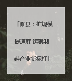 睢县：扩规模提速度 铸就制鞋产业新标杆