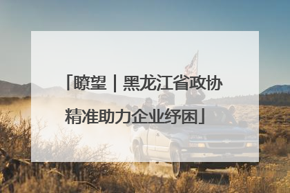 瞭望｜黑龙江省政协精准助力企业纾困