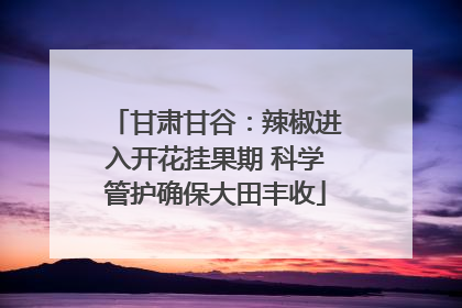 甘肃甘谷：辣椒进入开花挂果期 科学管护确保大田丰收
