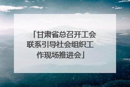 甘肃省总召开工会联系引导社会组织工作现场推进会