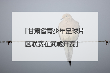 甘肃省青少年足球片区联赛在武威开赛