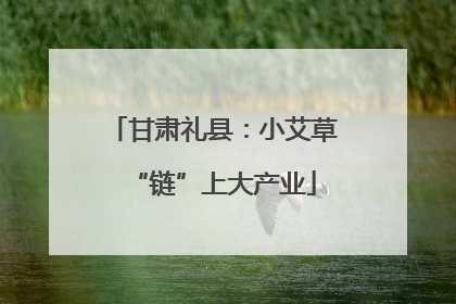 甘肃礼县：小艾草“链”上大产业