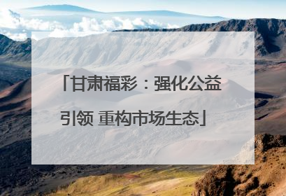 甘肃福彩：强化公益引领 重构市场生态