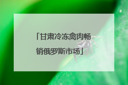 甘肃冷冻禽肉畅销俄罗斯市场