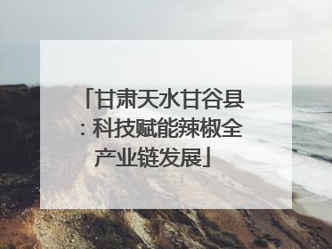 甘肃天水甘谷县：科技赋能辣椒全产业链发展