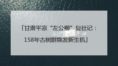 甘肃平凉“左公柳”复壮记：158年古树群焕发新生机