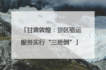 甘肃敦煌：景区骆运服务实行“三班倒”