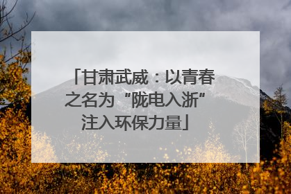 甘肃武威：以青春之名为“陇电入浙”注入环保力量
