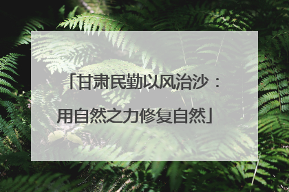 甘肃民勤以风治沙：用自然之力修复自然