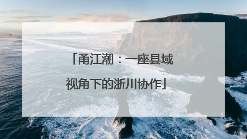 甬江潮：一座县域视角下的浙川协作