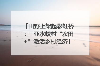 田野上架起彩虹桥：三亚水蛟村“农田+”激活乡村经济
