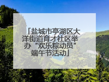 盐城市亭湖区大洋街道育才社区举办“欢乐粽动员”端午节活动
