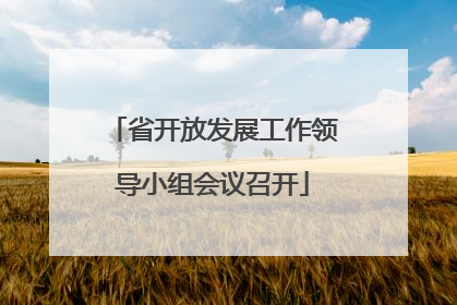 省开放发展工作领导小组会议召开