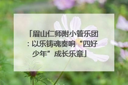 眉山仁师附小管乐团：以乐铸魂奏响“四好少年”成长乐章