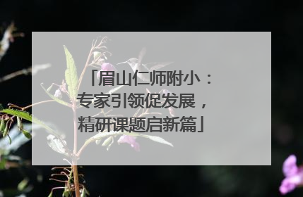 眉山仁师附小：专家引领促发展，精研课题启新篇