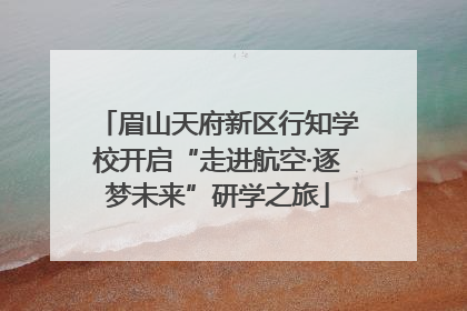 眉山天府新区行知学校开启“走进航空·逐梦未来”研学之旅