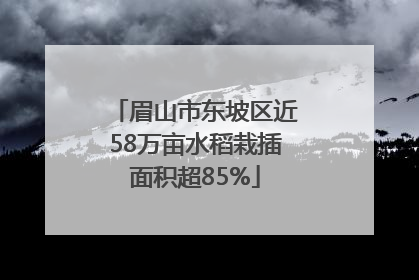眉山市东坡区近58万亩水稻栽插面积超85%