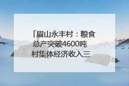 眉山永丰村：粮食总产突破4600吨 村集体经济收入三年倍增｜牵挂的村