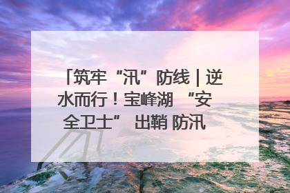 筑牢“汛”防线｜逆水而行！宝峰湖 “安全卫士” 出鞘 防汛应急再添硬核力量