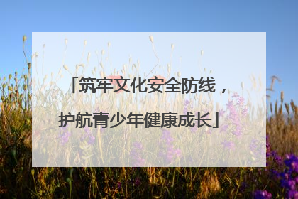 筑牢文化安全防线，护航青少年健康成长