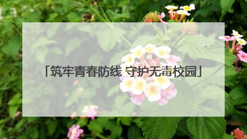 筑牢青春防线 守护无毒校园