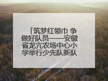 筑梦红领巾 争做好队员——安徽省龙亢农场中心小学举行少先队新队员入队仪式