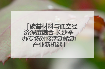 碳基材料与低空经济深度融合 长沙举办专场对接活动撬动产业新机遇
