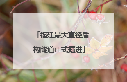 福建最大直径盾构隧道正式掘进
