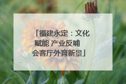 福建永定：文化赋能 产业反哺 会客厅外育新景