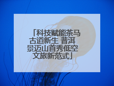 科技赋能茶马古道新生 普洱景迈山首秀低空文旅新范式