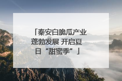 秦安白脆瓜产业蓬勃发展 开启夏日“甜蜜季”