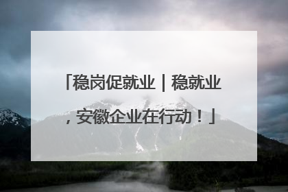 稳岗促就业｜稳就业，安徽企业在行动！