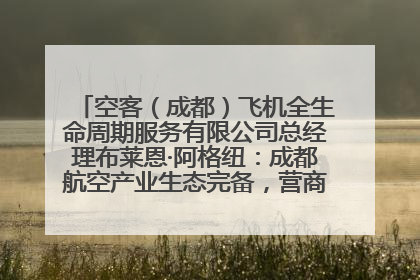 空客（成都）飞机全生命周期服务有限公司总经理布莱恩·阿格纽：成都航空产业生态完备，营商环境优势显著