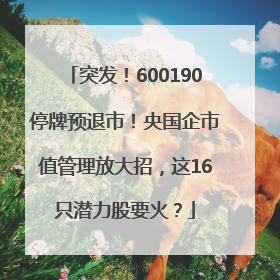 突发！600190停牌预退市！央国企市值管理放大招，这16只潜力股要火？