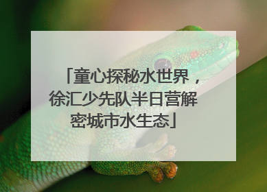 童心探秘水世界，徐汇少先队半日营解密城市水生态