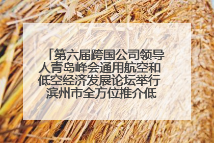 第六届跨国公司领导人青岛峰会通用航空和低空经济发展论坛举行 滨州市全方位推介低空经济发展优势