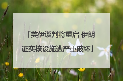 美伊谈判将重启 伊朗证实核设施遭严重破坏