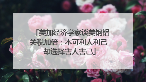 美加经济学家谈美钢铝关税加倍：本可利人利己 却选择害人害己