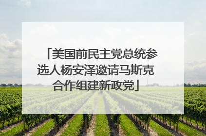 美国前民主党总统参选人杨安泽邀请马斯克合作组建新政党