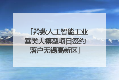 羚数人工智能工业垂类大模型项目签约落户无锡高新区