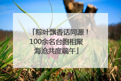 粽叶飘香话同源！100余名台胞相聚海沧共度端午
