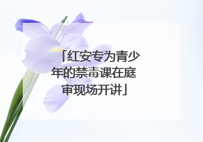 红安专为青少年的禁毒课在庭审现场开讲