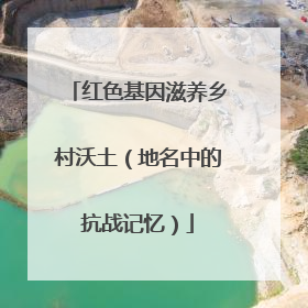 红色基因滋养乡村沃土（地名中的抗战记忆）